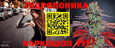 молекула духа Кулебаки
