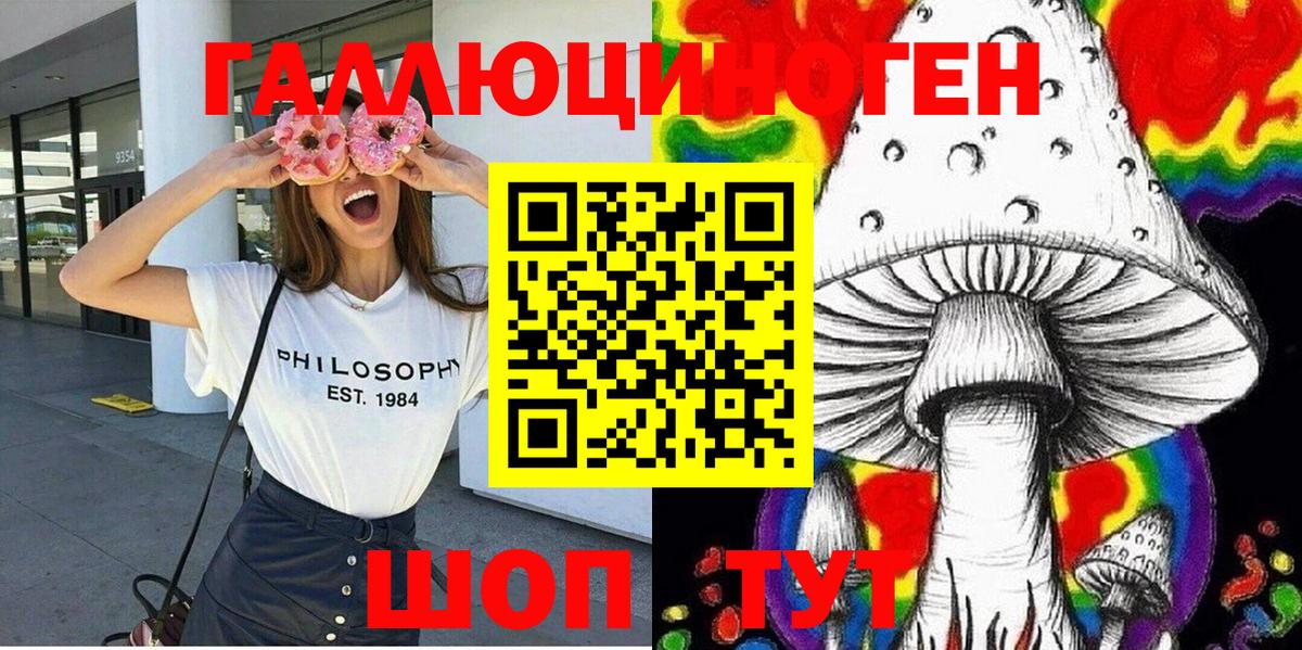 Галлюциногенные грибы Psilocybine cubensis  Вход с VPN  Чита 